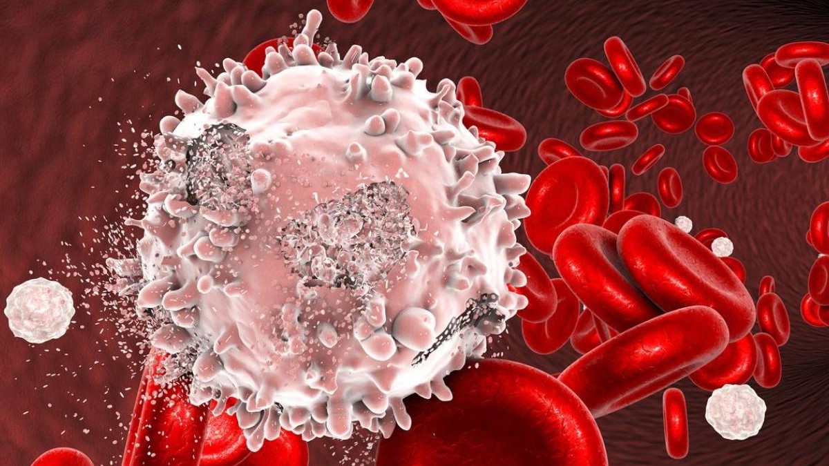 Septembre Rouge : reconnaître les premiers signes des cancers du sang