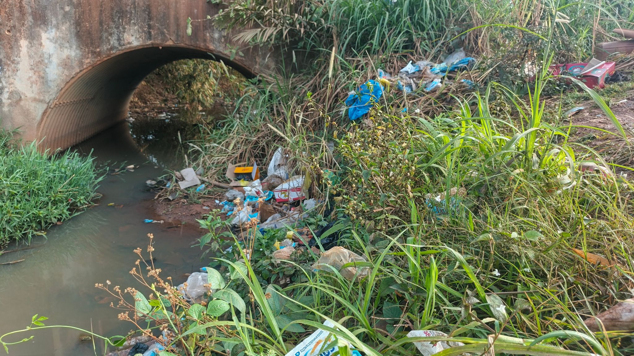 À Beyla, le célèbre cours d’eau Bembeya gravement menacé par les pressions humaines