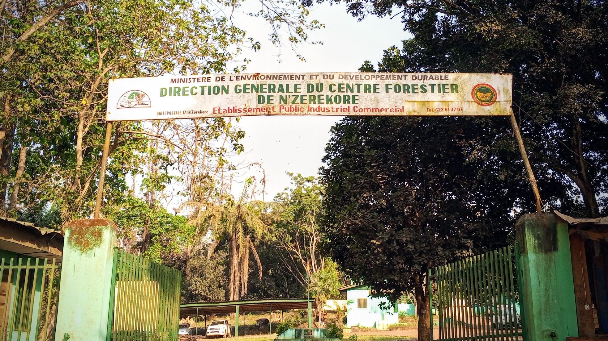 Guinée : des espèces protégées au bord de l’extinction, le cri d’alarme du Centre forestier de N’Zérékoré