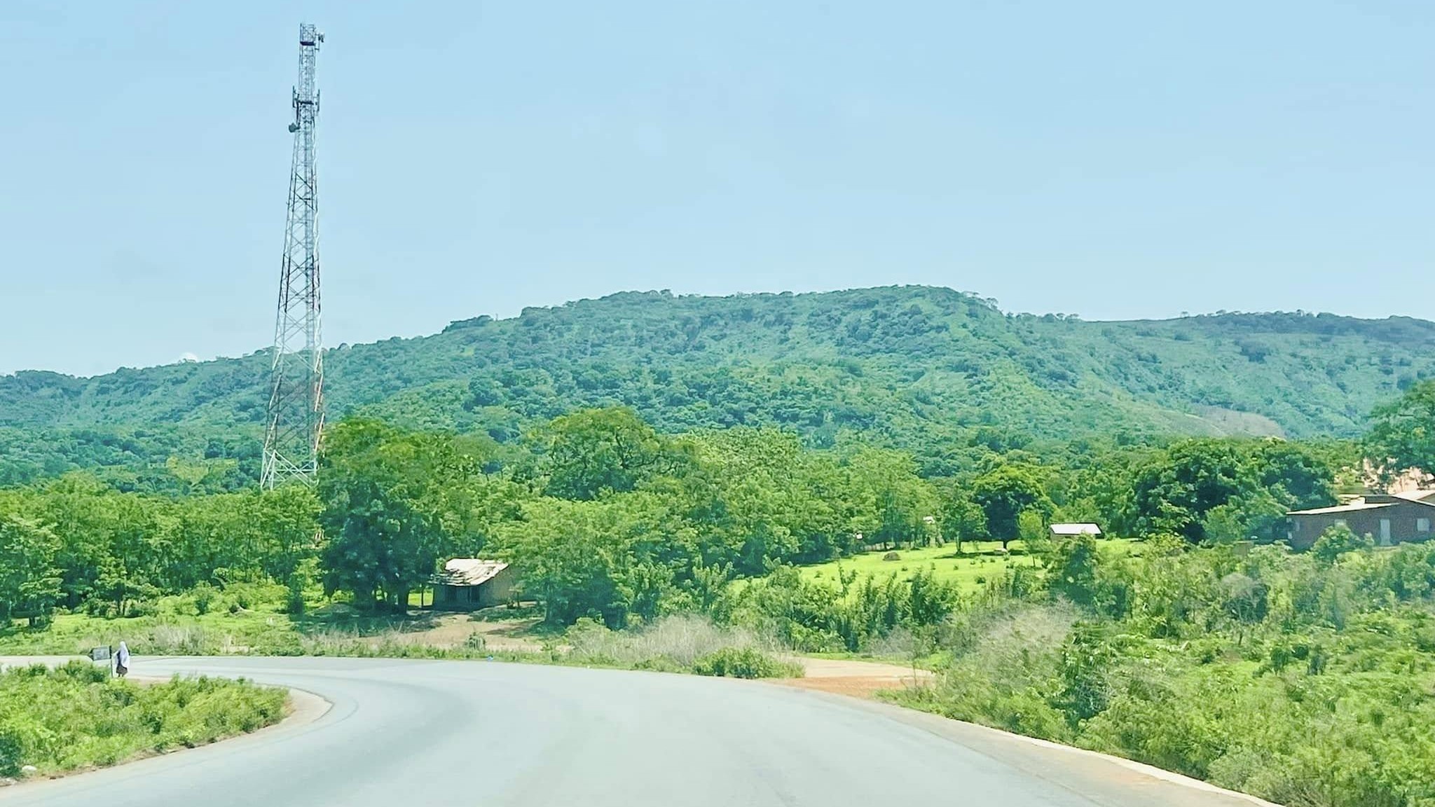 Déclassement de la forêt classée de Kakoulima : quelles conséquences pour l’environnement ? 