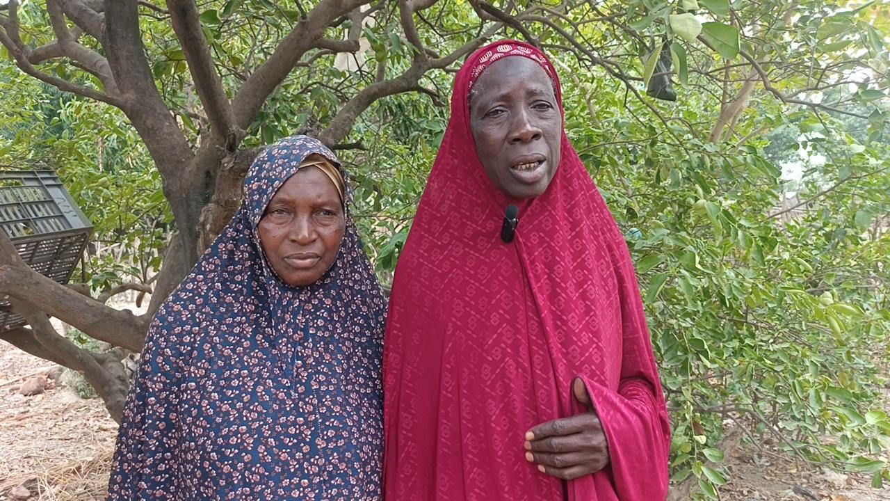 Mandiana : les femmes maraîchères de Niantanina étouffent sous le poids du manque d'eau et d'accompagnement