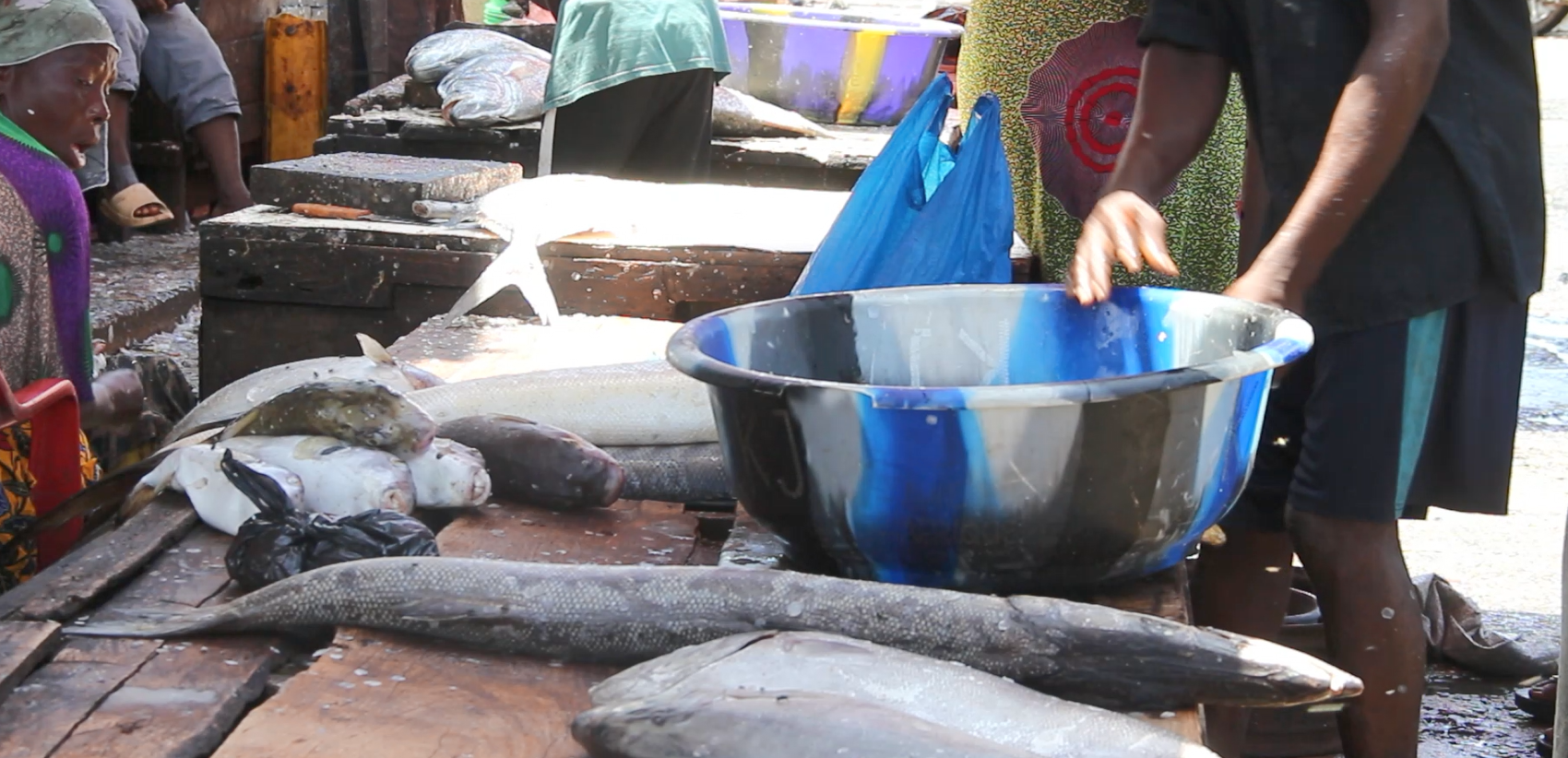 Repos biologique en Guinée : préserver le poisson, au prix d’une saison difficile pour les pêcheurs