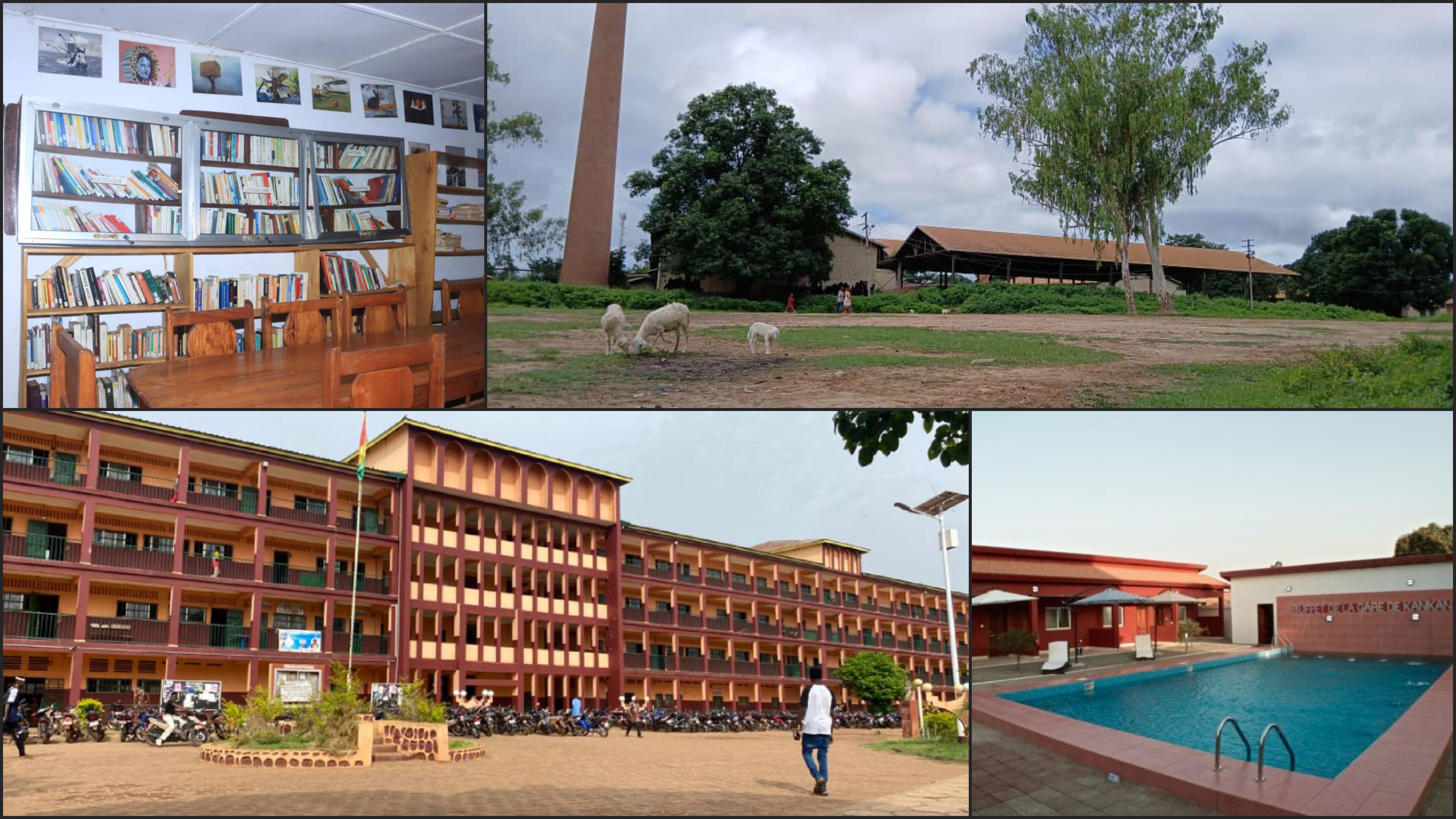 Paire De Gants Pour Outil De Manutention Latex, T 8 DEXTER | Leroy Merlin