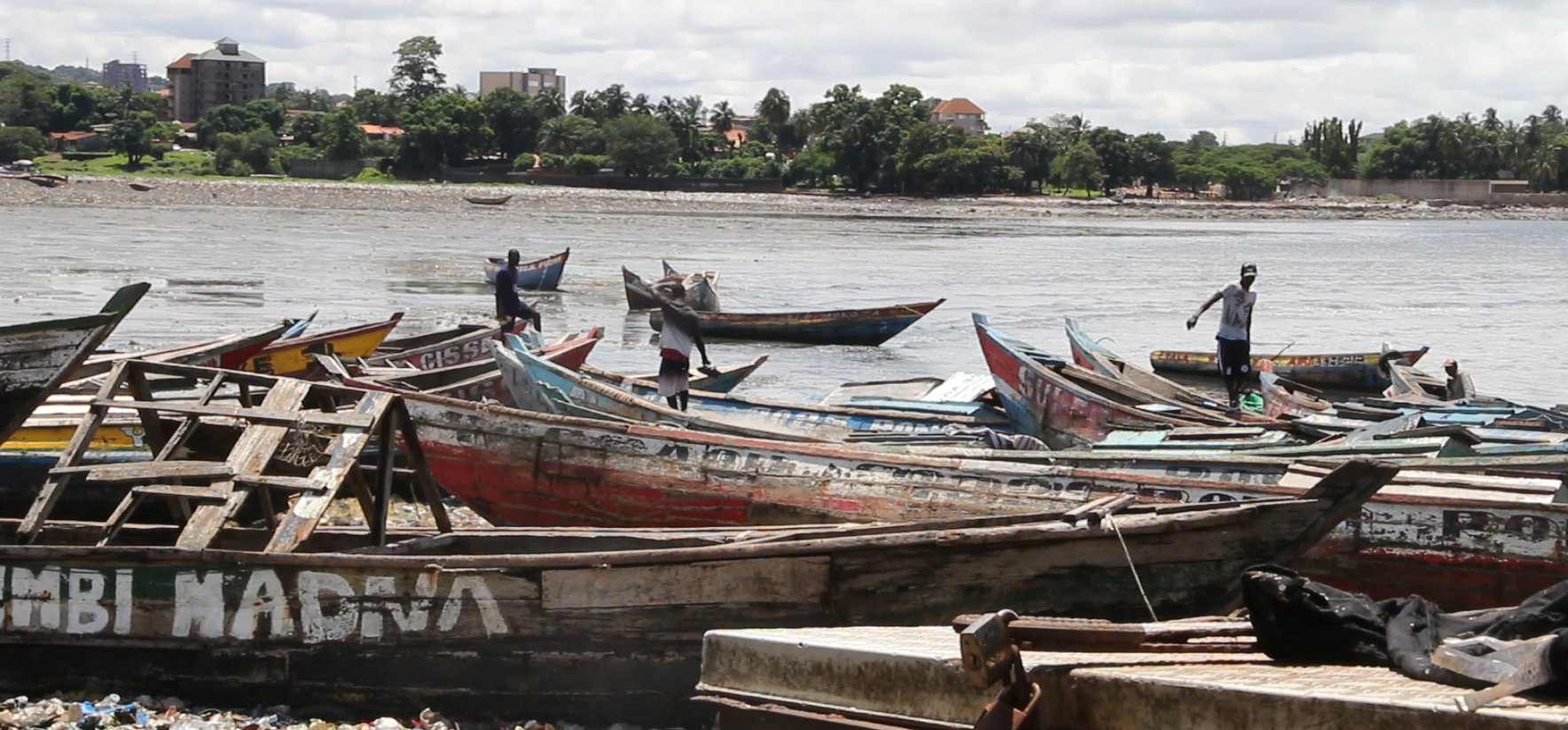 Repos biologique en Guin&eacute;e : pr&eacute;server le poisson, au prix d&rsquo;une saison difficile pour les p&ecirc;cheurs