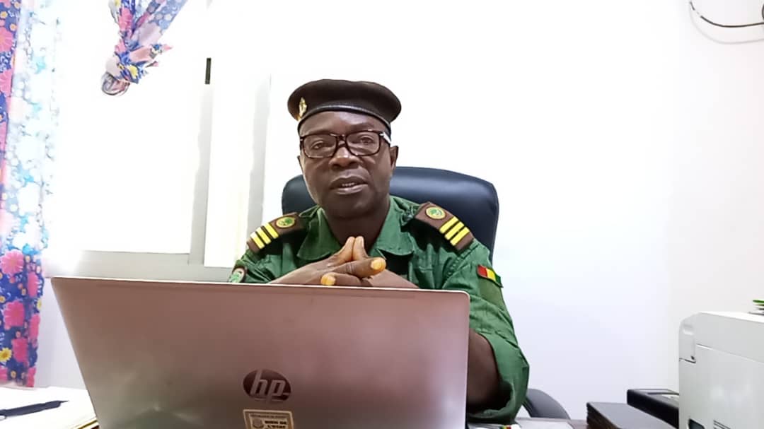 Guin&eacute;e : des esp&egrave;ces prot&eacute;g&eacute;es au bord de l&rsquo;extinction, le cri d&rsquo;alarme du Centre forestier de N&rsquo;Z&eacute;r&eacute;kor&eacute;