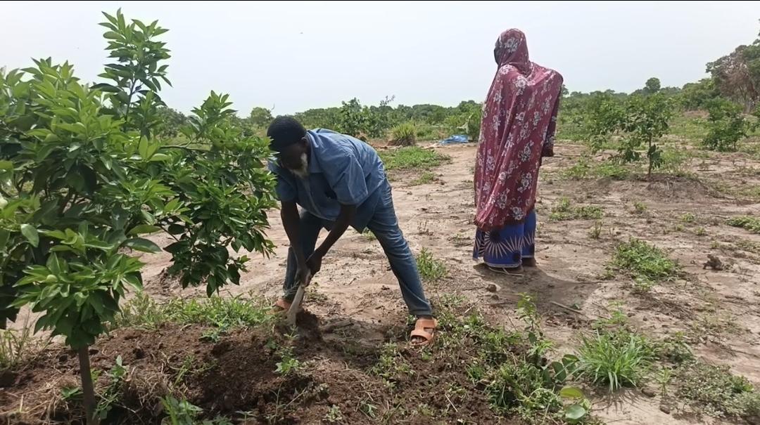 Mandiana : les femmes mara&icirc;ch&egrave;res de Niantanina &eacute;touffent sous le poids du manque d'eau et d'accompagnement